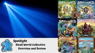 Spotlight  Small World Collective Overview and Review [upl. by Eenitsed196]