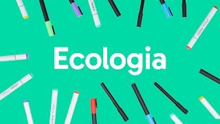 ECOLOGIA CADEIA ALIMENTAR BIOMAS E RELAÇÕES ECOLÓGICAS  QUER QUE DESENHE [upl. by Yleik]