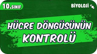 Hücre Döngüsünün Kontrolü  10Sınıf Biyoloji 2025 [upl. by Kokaras]