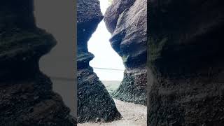 Magical Low and High Tide Beauty  Flowerpot Rocks 👍🙏😇❤️ seacave newbrunswick [upl. by Anileva]