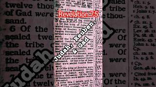 Revelarion 75 revelation 144k feedshorts [upl. by Sirronal]