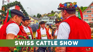 Swiss Tradition🇨🇭Cattle Show 🐮 500 cows and lots of Alpine yodeling in Urnäsch Switzerland 🫶 [upl. by Nuahsed]