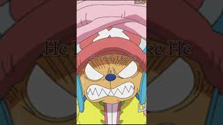 When Chopper Gets Called A Raccoon Dog shorts anime onepiece chopper tonytonychopper [upl. by Lolanthe]