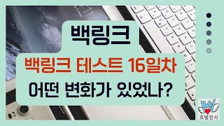 백링크 테스트 16일차 어떤 변화가 있었나 [upl. by Levona]