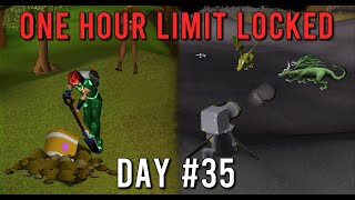 Who needs bots when you have a cannon  S1 E35  OSRS [upl. by Huber346]