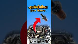 Engine blow by pcv Valve shorts cartips roadsafty [upl. by Rubina639]