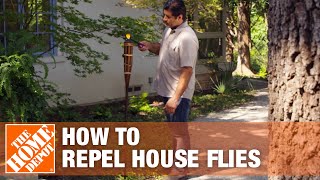 How to Keep Flies Away and Prevent Flies in Your House [upl. by Rowan]