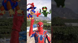 Spiderman and Chase Paw Patrol EXE  Dame Tu Cosita EXE  Marvel Animation [upl. by Wrench]