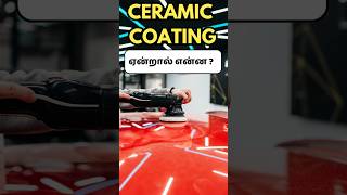 Ceramic coating for cars  Good or Bad [upl. by Papst389]