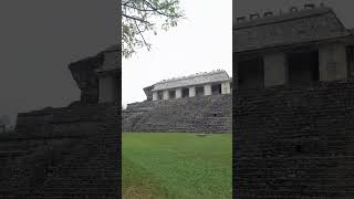 Ruins of Palenque in Chiapas state in Mexico palenque travel Chiapas méxico [upl. by Nauqet946]