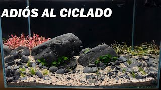 ¡NO MAS CICLADO A OSCURAS LLEGARON LAS PLANTAS PARA EL ACUARIO [upl. by Bindman106]