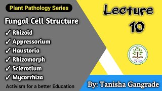 Fungal Cell Structure  Appressorium  Haustoria  Rhizoids  Rhizomorph  Mycorrhizae by Tanisha [upl. by Oriane]