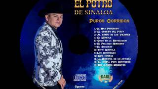 El Potro de Sinaloa  Puros Corridos Disco Completo Exclusivo 2016 [upl. by Shelia]