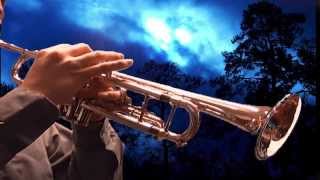 I Dreamed a Dream Les Miserables TRUMPET COVER HD [upl. by Abbye362]