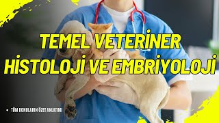 🐾 Temel Veteriner Histoloji ve Embriyoloji Hücre ve Doku Dünyasına Giriş 🔬👶 [upl. by Dafna147]