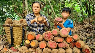 The Orphan Boy and the Mute Girl  Harvesting brown tubers goes the market sell Boil drinking water [upl. by Zachar]