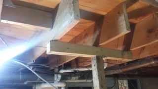 Floor joist replacement part 1 [upl. by Niamrej]