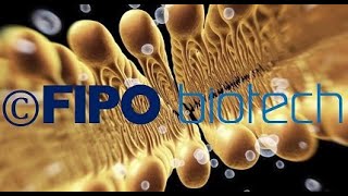 como funciona una membrana ultrafiltracion amp osmosis para aceites y metales sin atascarse [upl. by Hourihan]