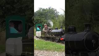 316 amp 181 on the Eastleigh Lakeside Railway short steamtrain train miniaturerailway railway [upl. by Otho950]