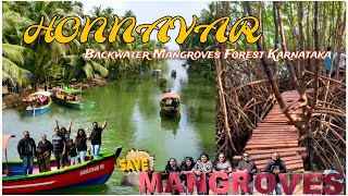 Honnavar Backwater ￼ ￼ must visit places  Kaandla Mangroves Tree Forest ￼ Gogarbha Cave Gokarna [upl. by Wardieu200]