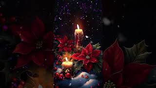 RDH winter flowers amp colorful amp christmas night in the snow Premium VideoAOD [upl. by Rayna]