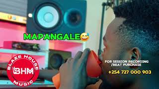 mapangale mapangale trending sound remake by Blaze House music Studio [upl. by Hurty]