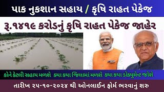 પાક નુકસાન સહાય 2024 Gujarat  Pak Nuksan Sahay Gujarat 2024  Krushi Rahat Package 2024 Gujarat [upl. by Akinehc87]