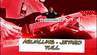 AqualungJethro  Tull cover rock musicshorts rock guitarcover [upl. by Klump]