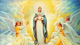 The Psalm of the Assumption of the Blessed Virgin Mary [upl. by Leiuqeze276]