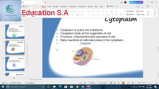 Today learn About Cytoplasm [upl. by Hurlow]