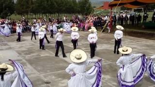 Baile de peleas de gallos en jaltepec [upl. by Atilrahc]