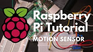 How to Use a PIR Motion Sensor with Raspberry Pi [upl. by Stag]