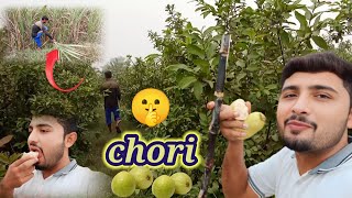 AJ ham na chori kar li wasam vlogs [upl. by Oidgime199]