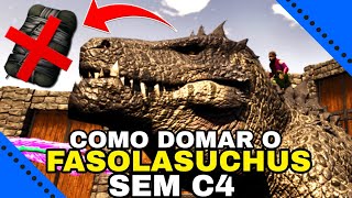 COMO DOMAR O FASOLASUCHUS NO MAPA SCORCHED EARTH NO ARK SURVIVAL ASCENDED SEM C4 E SEM BATER NO SAL [upl. by Norby]