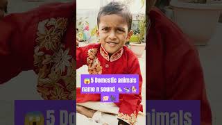 😮 Domestic animals name n sound  youtubeshorts  youtubeshorts  kidsvideo  kidslearning [upl. by Larentia]