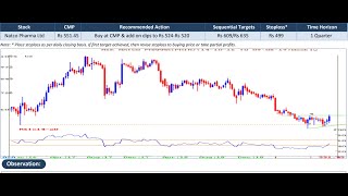 How to Make an Equity Research Report  Listed Share Reports [upl. by Harbison]