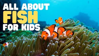 All about Fish for Kids  Learn the characteristics of fish  What is a fish [upl. by Enrique]