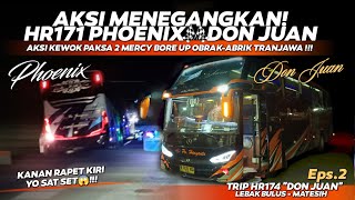 LARINYA MAKIN GADA OBAT🥵AKSI KEWOK PAKSA 2 MERCY STD HARYANTO 174 quotDON JUANquot Ft 171 quotPHOENIXquot [upl. by Nnep499]