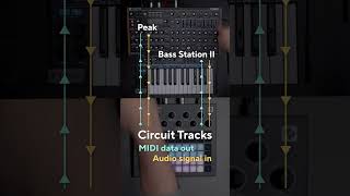 How to make music without a computer DAWless music creation with Circuit Tracks  PART 1 [upl. by Randee25]