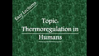 Thermoregulation in Humans Physiological thermoregulation [upl. by Braynard]