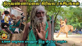 😱திருவண்ணாமலை கிரிவல ரகசியங்களை பற்றி கூறும் பச்சை சாமியார்🙏🕉 tiruvannamalai sithar samiyar [upl. by Fiorenza]