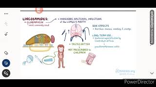 MISCELLANEOUS PROTEIN SYNTHESIS INHIBITORS [upl. by Haeluj811]