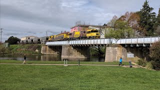 TasRail 2054 TR16 46 Coal train passing through Deloraine [upl. by Onailime221]