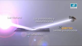 Lentes Polarizadas Xperio de essilor [upl. by Nyladnek]