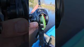 Keitech Easy Shiner Slays on BFS fishing Daiwa Tatula BF70 [upl. by Harms]