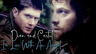 Dean and Castiel  In love with An Angel Angeldove [upl. by Kamila962]