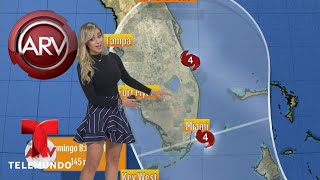 El huracán Irma se dirige hacia Florida  Al Rojo Vivo  Telemundo [upl. by Margarethe248]