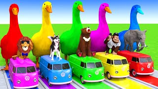 5 Giant Duck CartoonCowElephantTigerLionDinosaurPaint Wild Animals Crossing Fountain Animation [upl. by Tsenrae499]