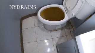 Clogged Drain 95 [upl. by Josy795]