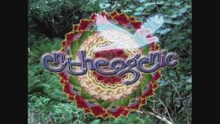 Entheogenic  Urubus [upl. by Conard]